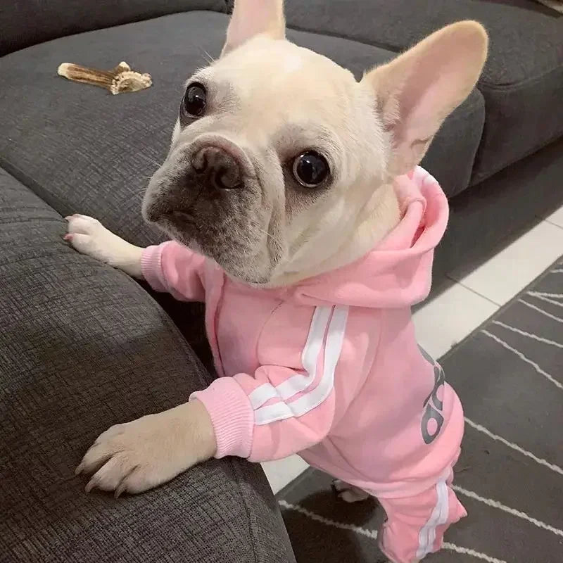 Pet Dog Clothes Puppy Clothes 2024 Dog Clothes French Bulldog Hoodie Puppy Spring Apparels Pet Clothing Dog Accessories Apparel