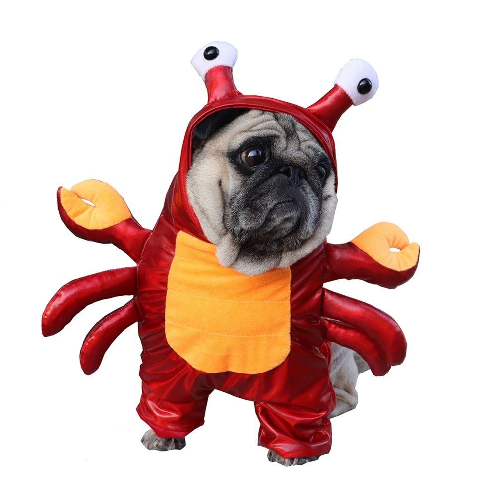 Halloween Dog Clothes Cosplay Halloween Unique And Exclusive Two-Legged for Small Dog cat Red Crab Costume