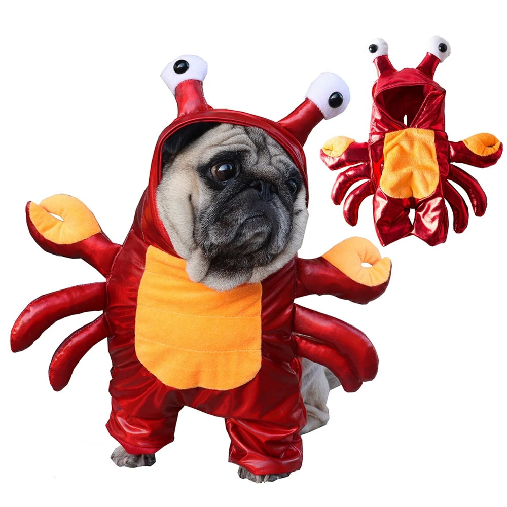 Halloween Dog Clothes Cosplay Halloween Unique And Exclusive Two-Legged for Small Dog cat Red Crab Costume