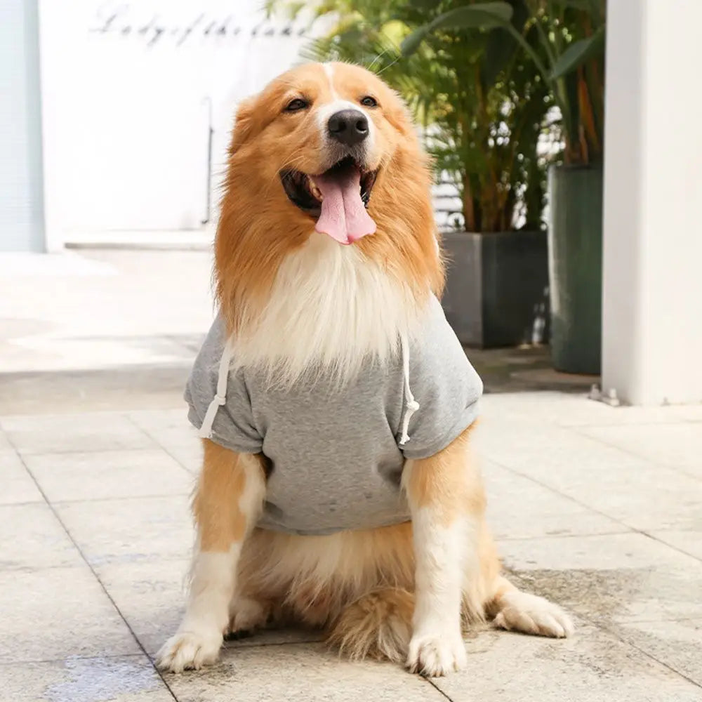 Pet Dog Drawstring Hoodie Pure Color Sweater Jumper Coat Warm Dogs Clothes Puppy Apparel Costume XS S M L XL 2XL 3XL 4XL 5XL