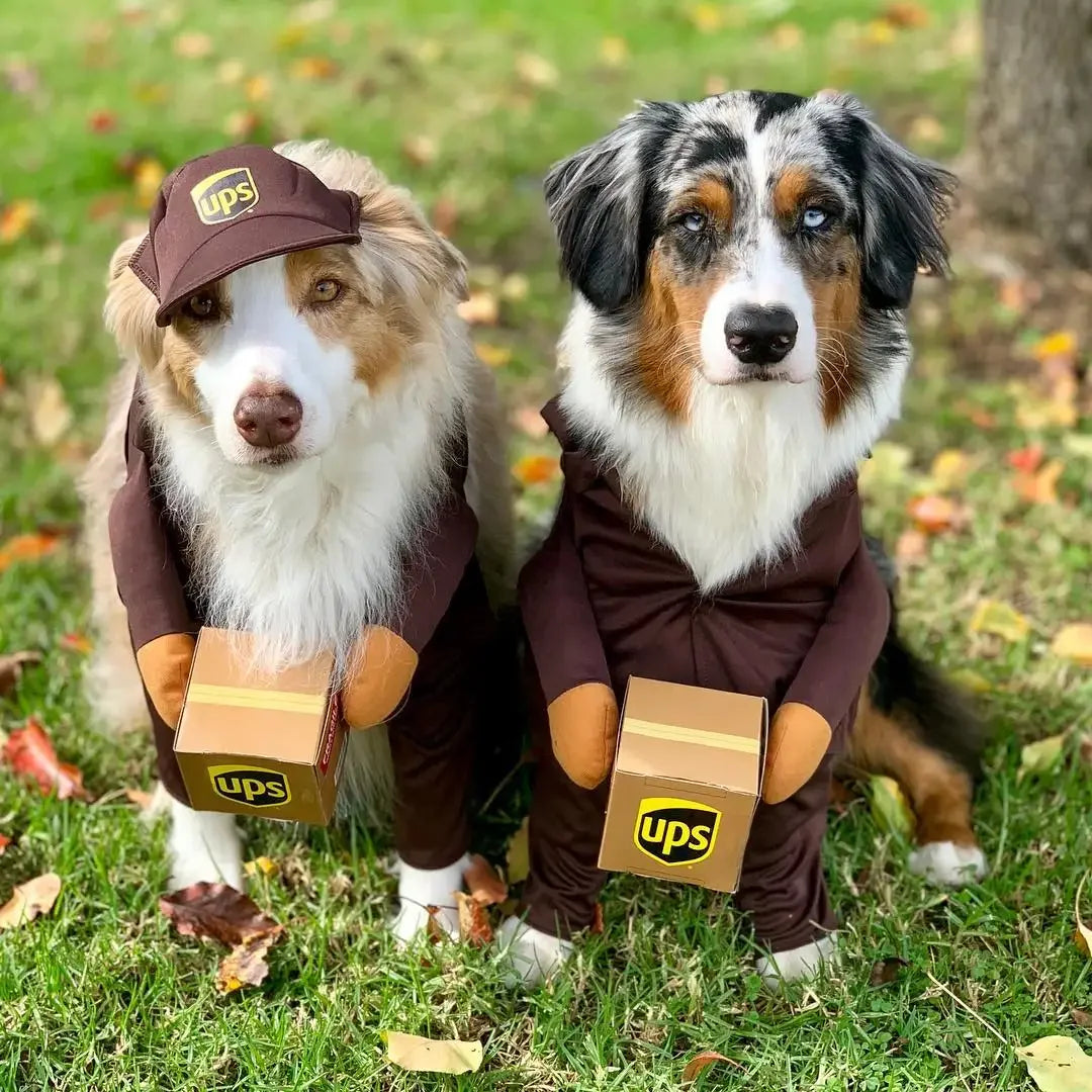 Pet Funny Role-playing Costume Collections UPS Pal Courier Big Dog Clothes Pet Clothing Disfraz De Perro De Halloween Clothes